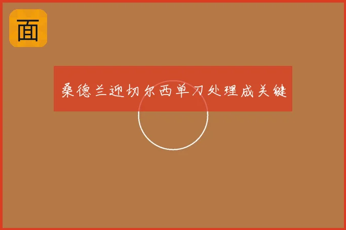 桑德兰迎切尔西单刀处理成关键